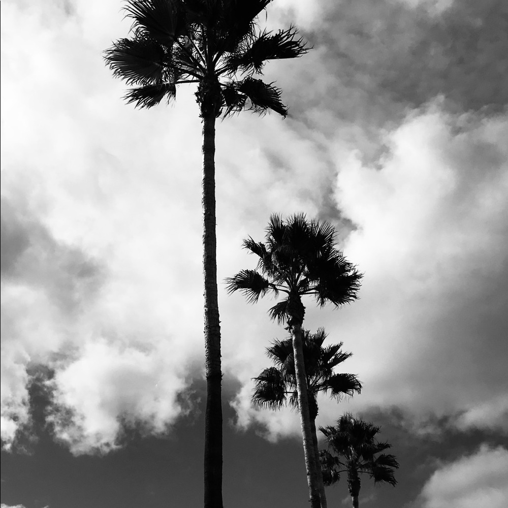 Meet your Posher, Desirae